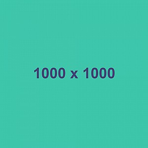 ���� ����� ����� ����� ������ ������� �� ���� ���� ��.2